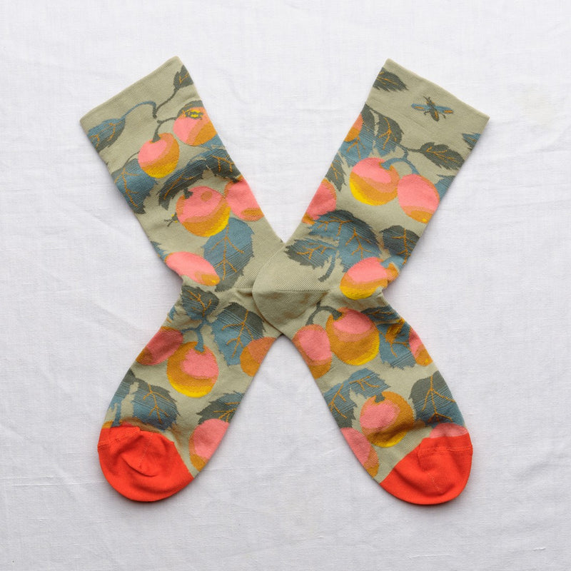 Chaussette Fruits Sauge