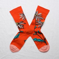 Fiction - Sock Flower Vermilion