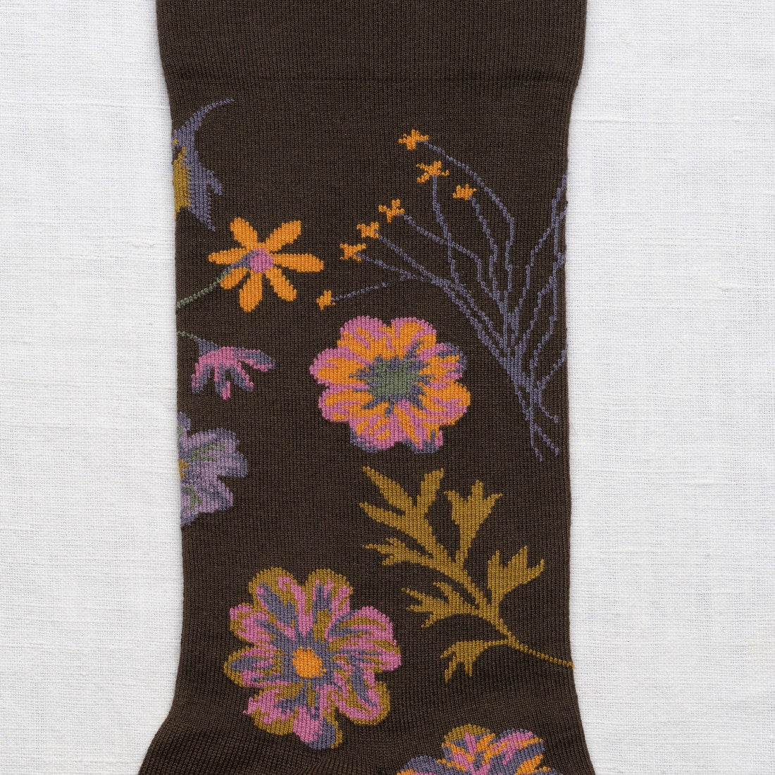 Fleurs d'automne