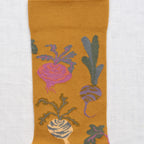 Chaussette Betterave