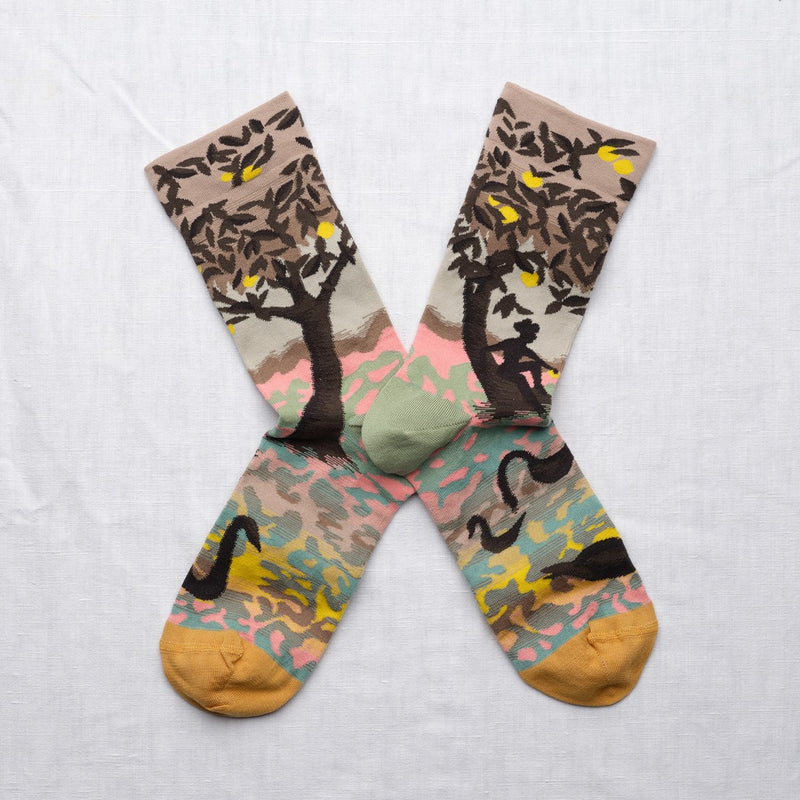 Landscape Socks