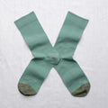 Chaussettes Unies Aloès
