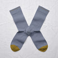 Chaussettes Uni Bleu-Gris