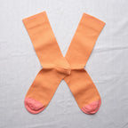Chaussettes Unies Adobe