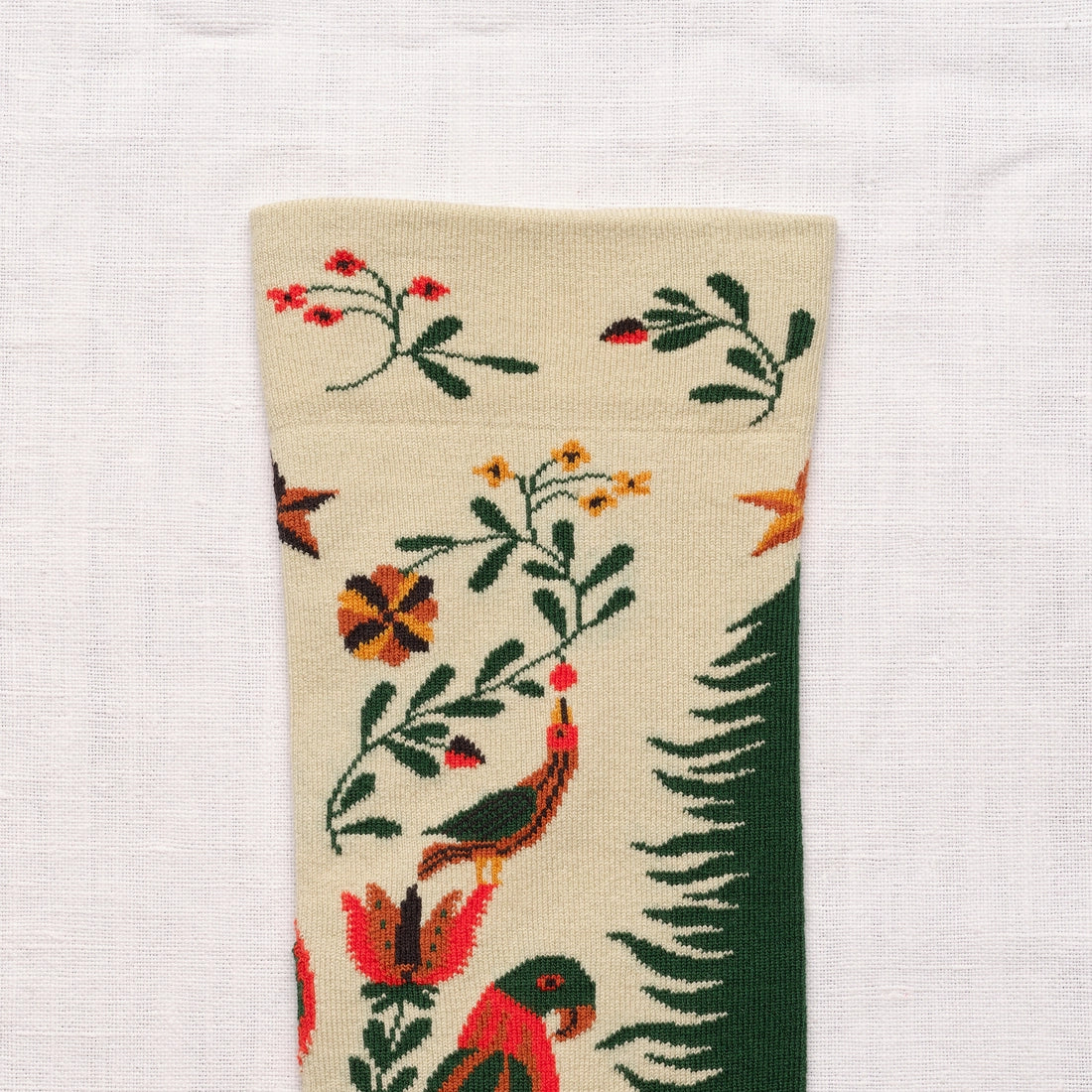 Chaussettes Perroquet Sapin