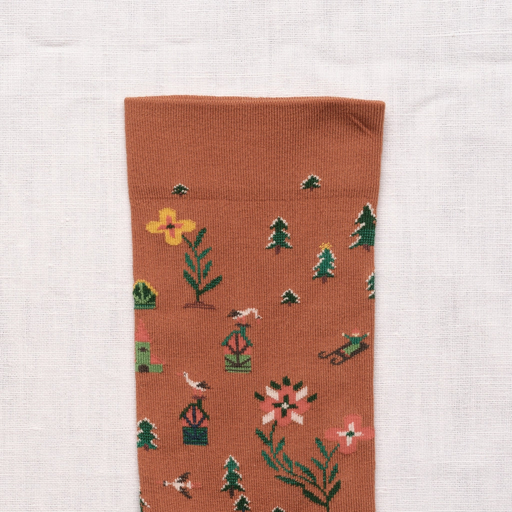 Chaussettes Semis Cannelle