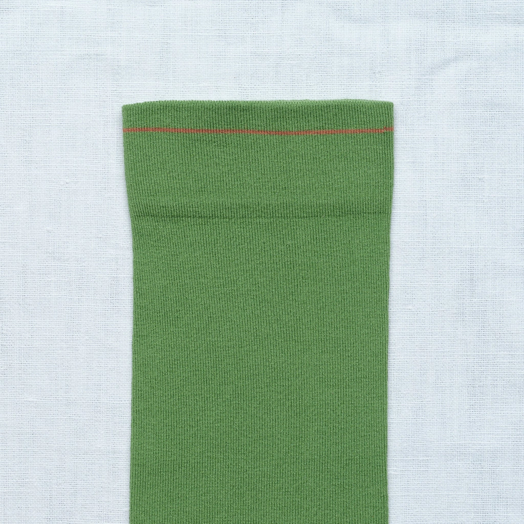 Chaussettes Uni Avocat