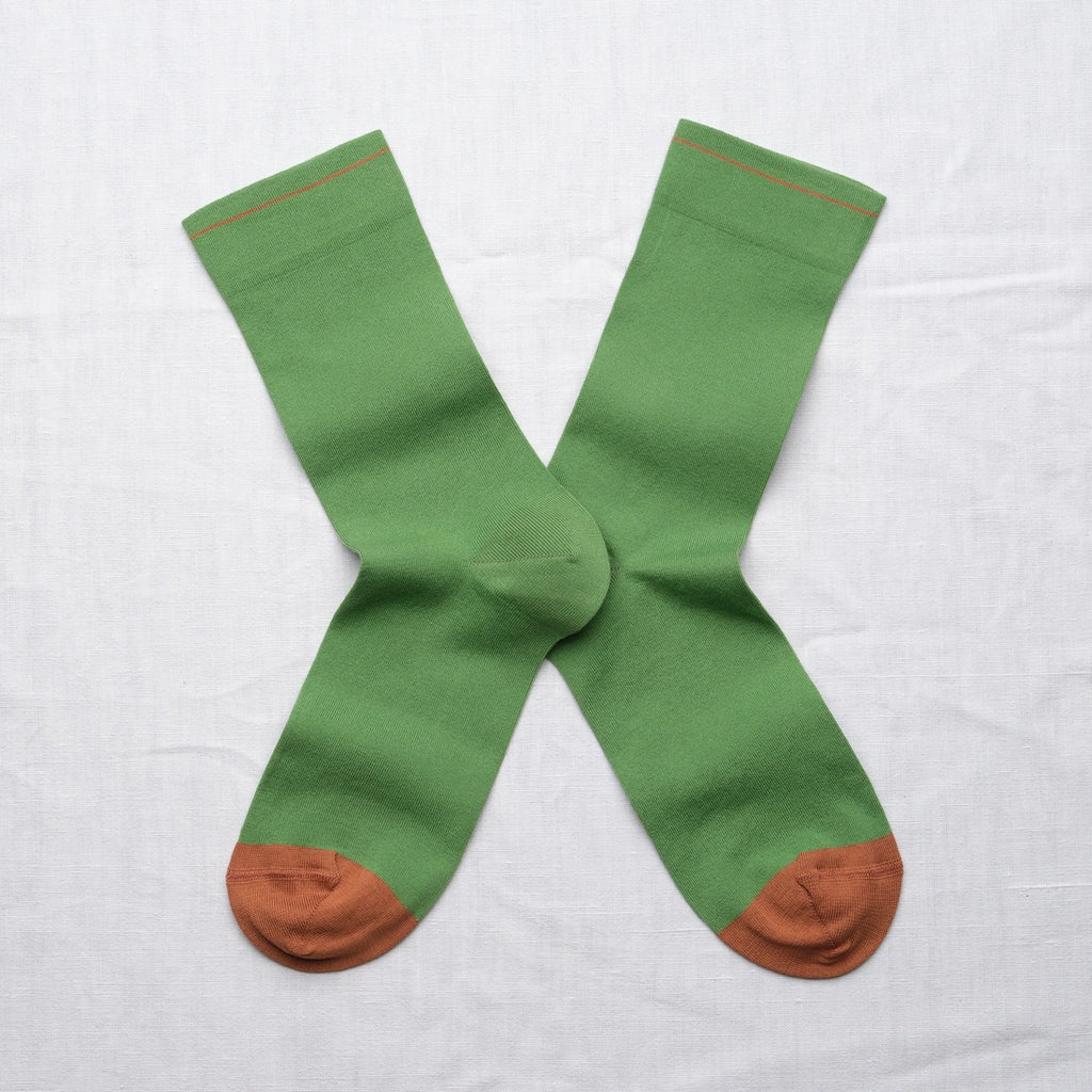Chaussettes Uni Avocat