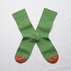 Chaussettes Uni Avocat